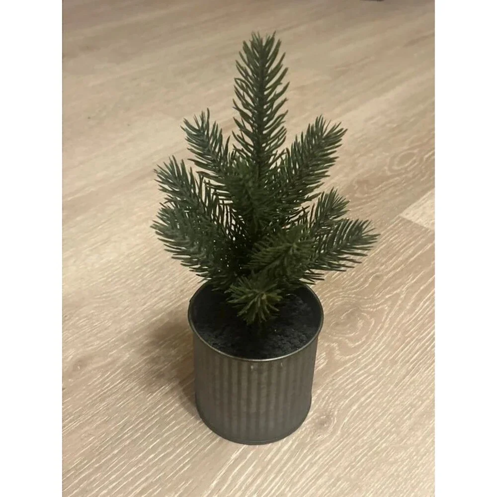 Target Small Decrative Evergreen Tree
